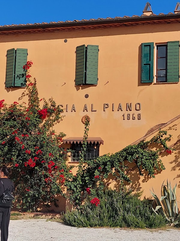 Caccia Al Piano 1868