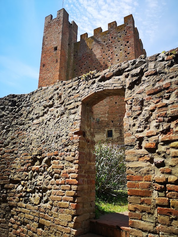 Certaldo 5