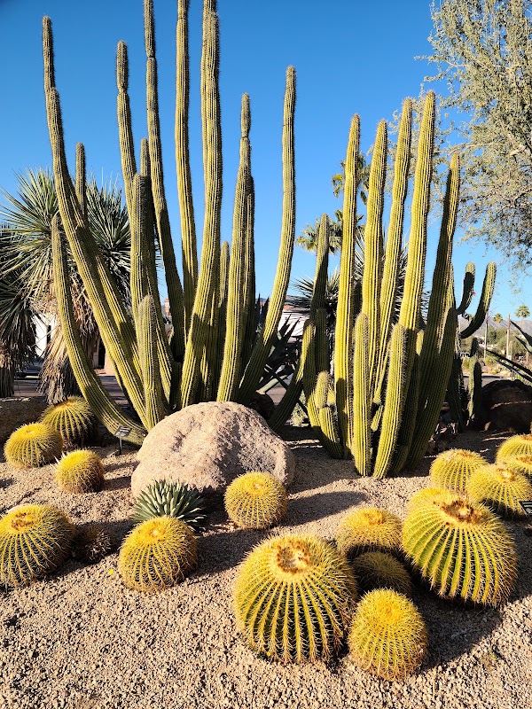 Carefree Desert Gardens 1