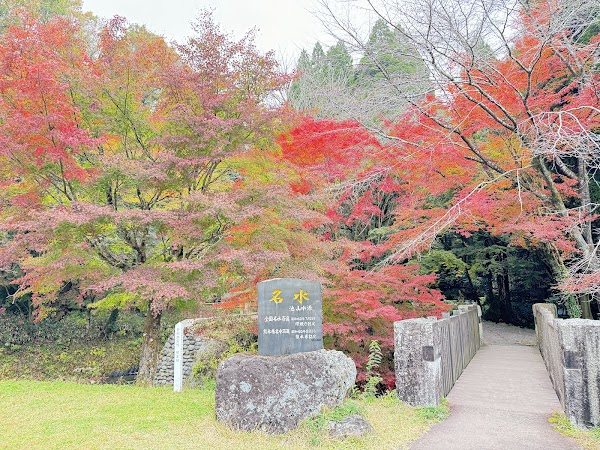 Beppu 86