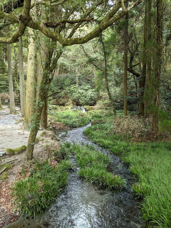 Ikeyama Spring 5