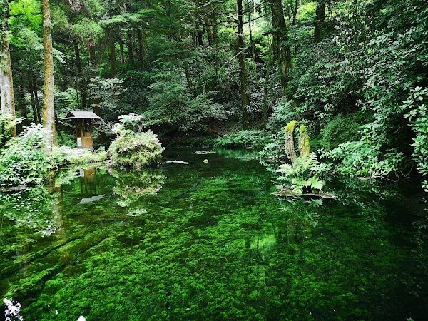 Ikeyama Spring 4