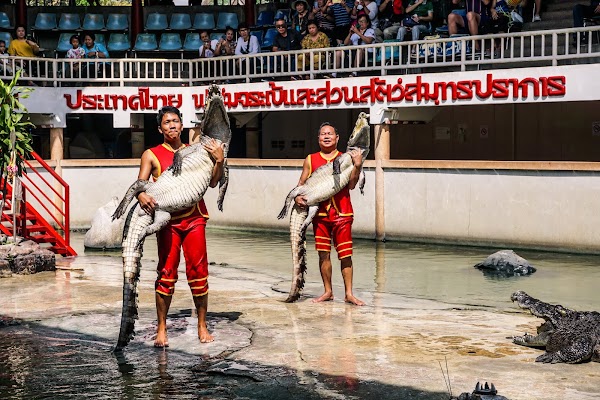 Samut Prakan Crocodile Farm & Zoo