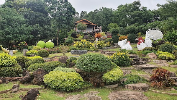 Phi phi Viewpoint 1 2