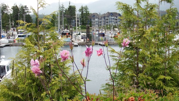 Ucluelet 5