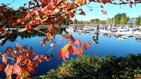 Ucluelet 3