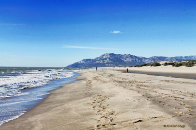 Patara Beach