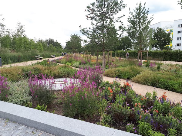 Kienberg Park 5