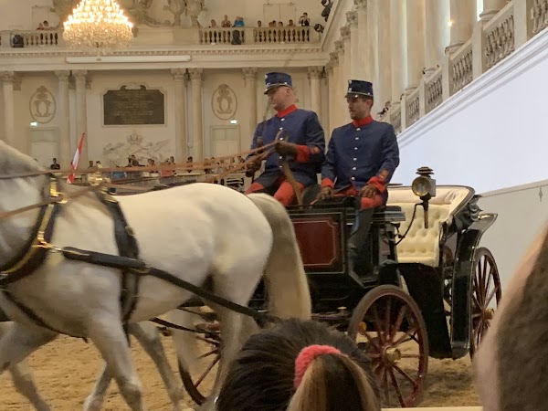 Spanish Riding School 5