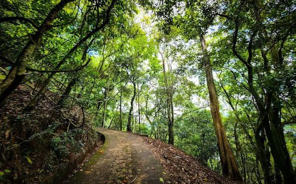 Udawatta Kele Sanctuary 5