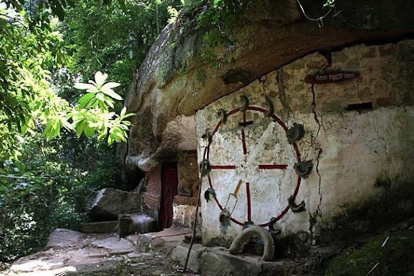 Udawatta Kele Sanctuary 4