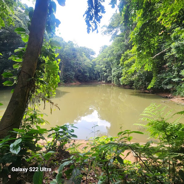 Udawatta Kele Sanctuary 3