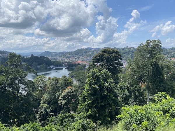 Udawatta Kele Sanctuary 2
