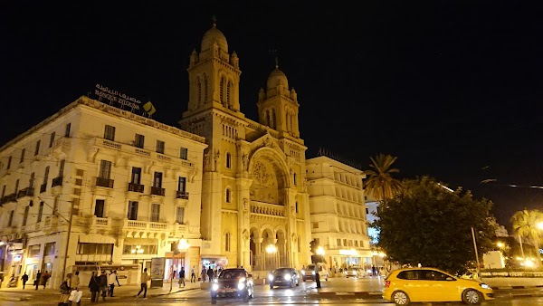 Cathedral of St Vincent de Paul and St Olivia of Palermo 5
