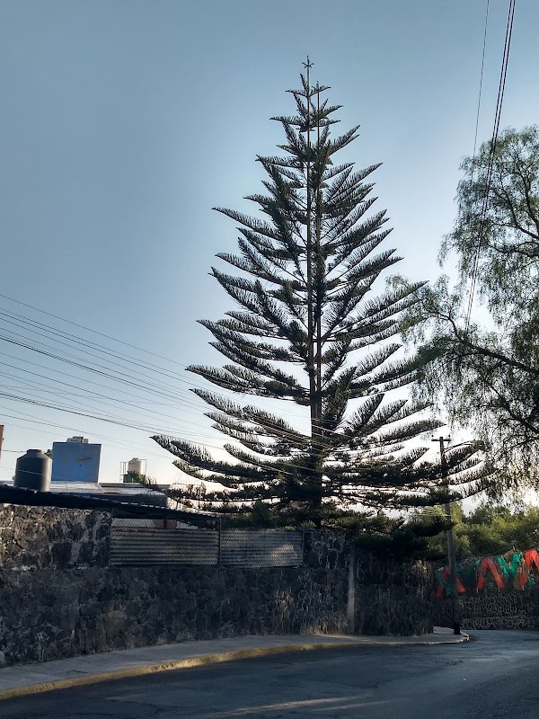 San Pablo Tepetlapa 1
