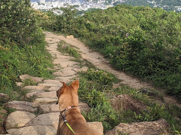 Ma On Shan Country Trail (Starting Point) 1