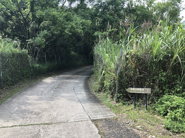 Ma On Shan Country Trail (Starting Point) 5