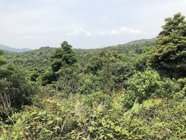 Ma On Shan Country Trail (Starting Point) 3