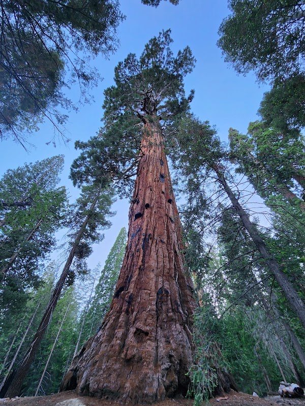 Sequoia National Forest