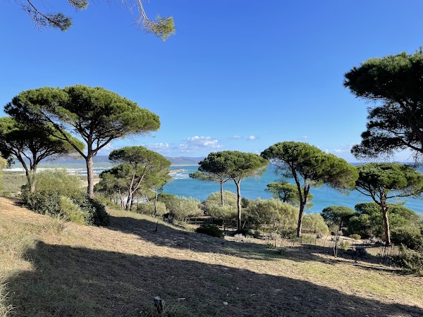 La Breña y Marismas del Barbate Natural Park 1