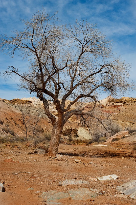 Goblin Valley Road 5