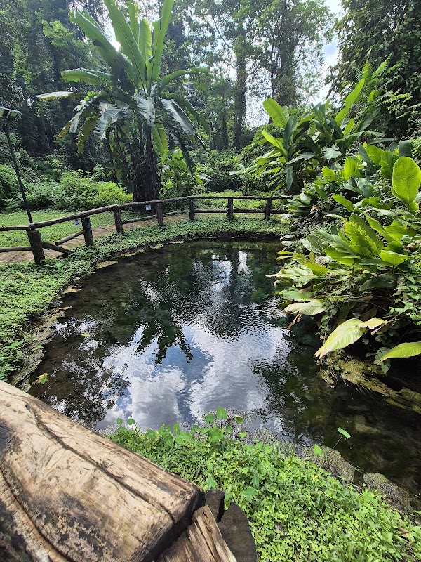 Namtok Bua Tong-Nam Phu Chet Si National Park 4