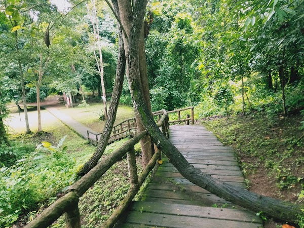 Namtok Bua Tong-Nam Phu Chet Si National Park 2