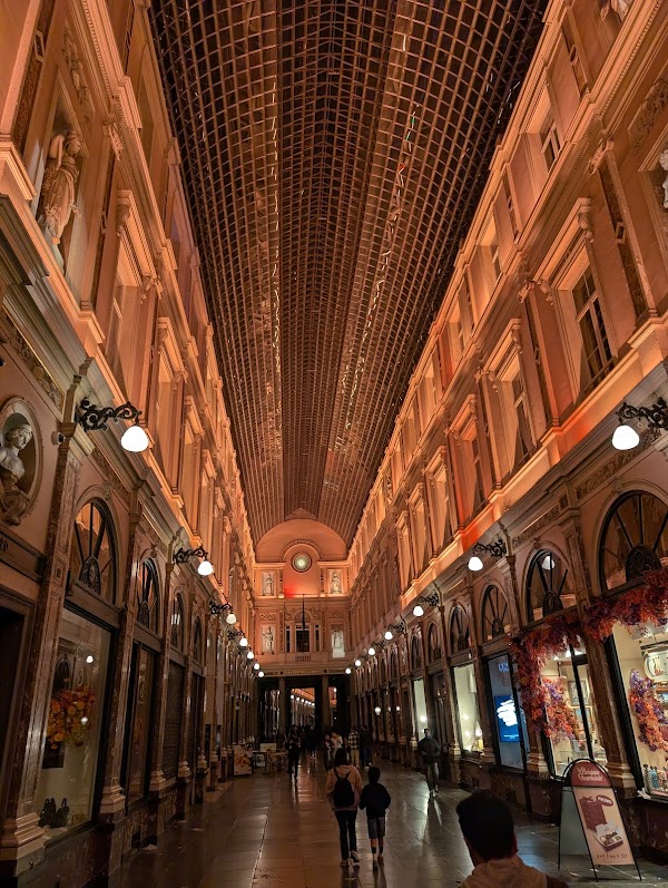 Royal Gallery of Saint Hubert 6