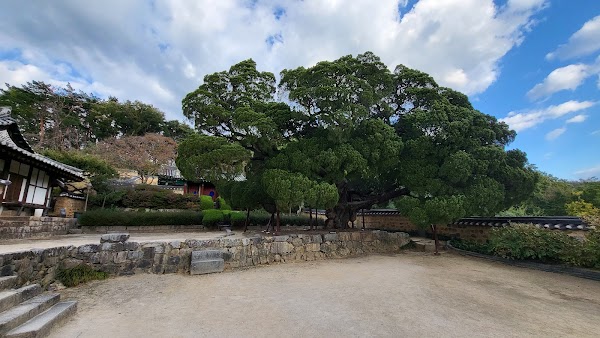 Yangdong Folk Village 3