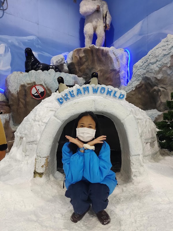 Snow Town 5