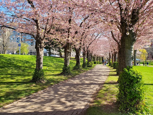 Spencer Smith Park 4