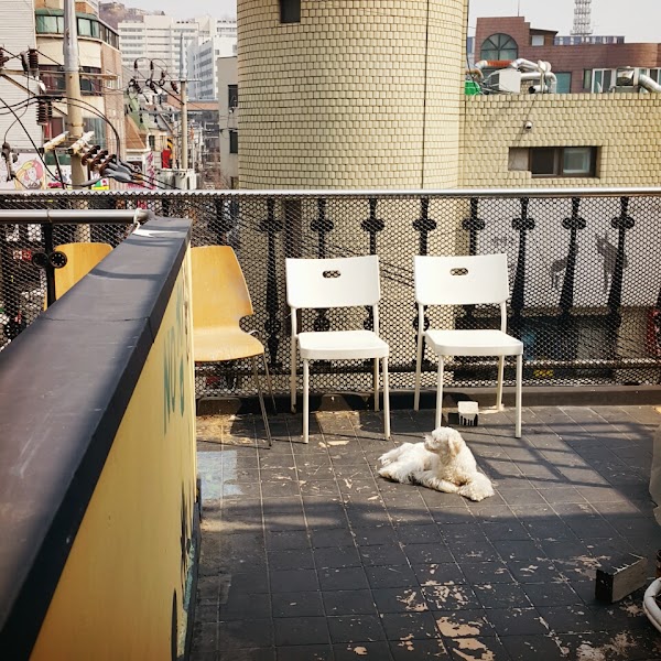 The One Hostel Hongdae in Seoul – Foreigner Only