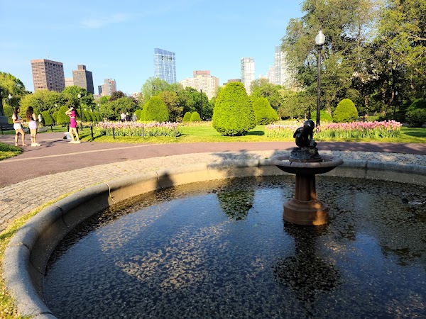 Public Garden 5