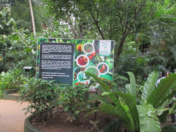 Spice Garden 4