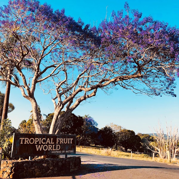 Tropical Fruit World 1