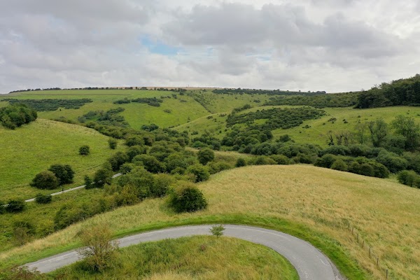 Millington Wood 5