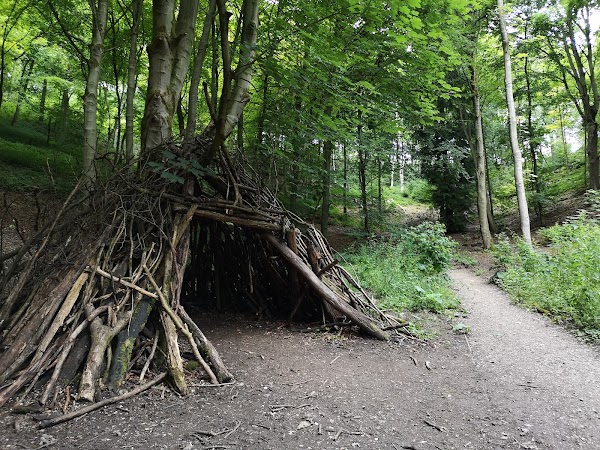 Millington Wood 3