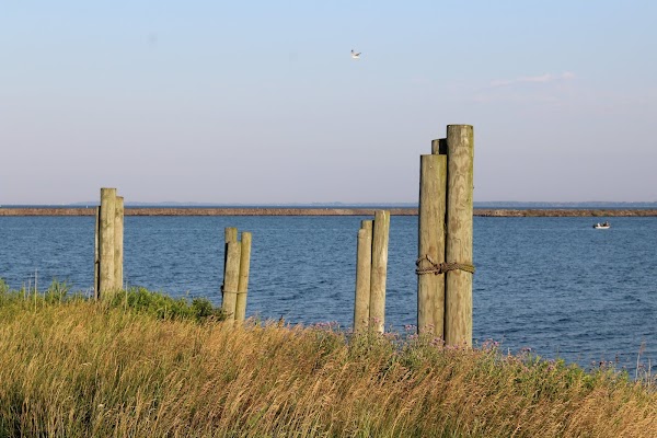 Outer Harbor Buffalo 2