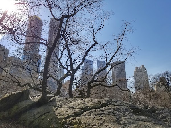 Central Park South 4