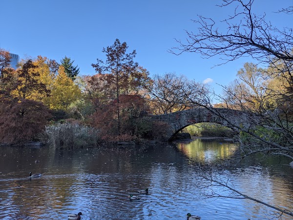 Central Park South 2