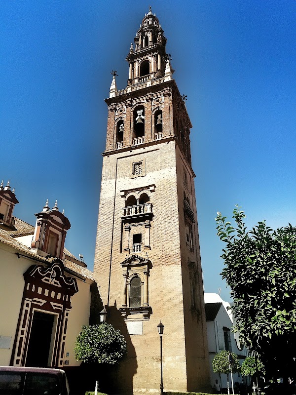 Carmona 5