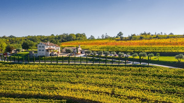 KABOLA WINERY 1