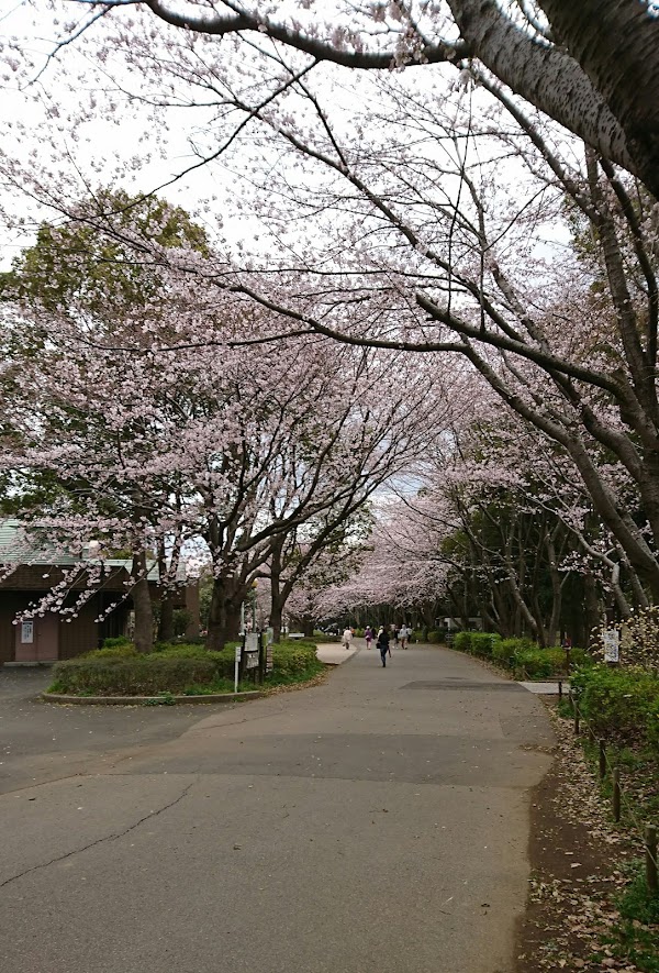 Japan 47
