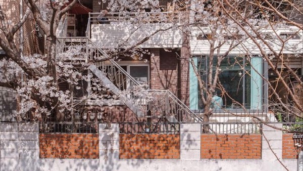 Yeonnamdong Cherry Blossom House 3