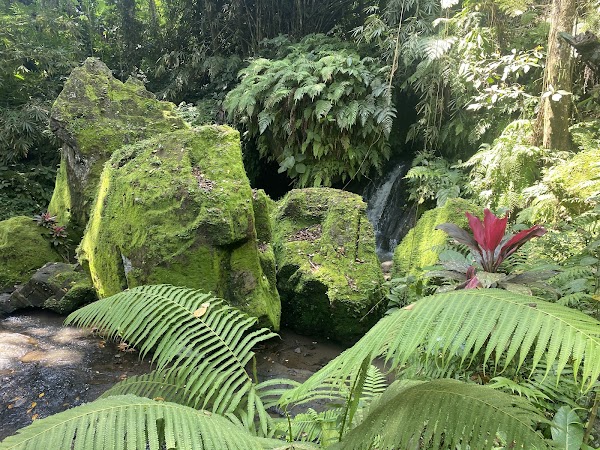Goa Gajah 3