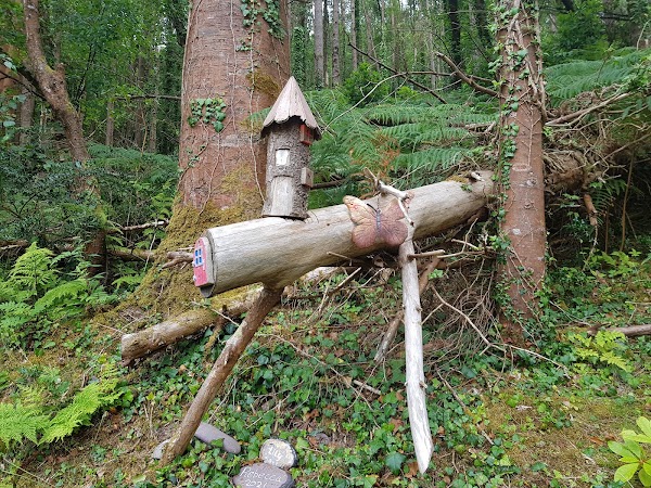 Glenbeigh Fairy Forest 5