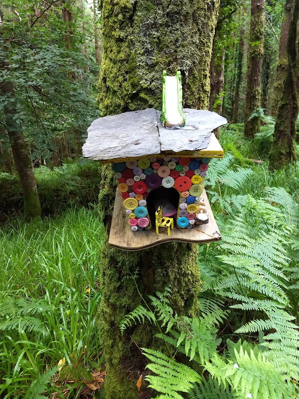 Glenbeigh Fairy Forest 4