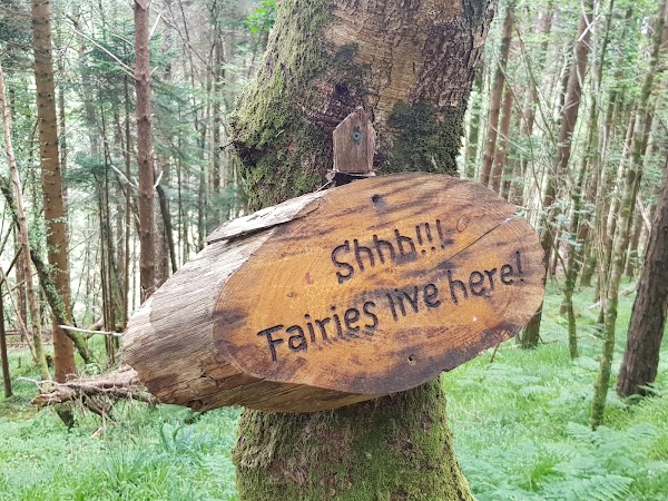 Glenbeigh Fairy Forest 2