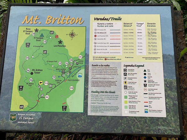 Torre Mount Britton Trailhead