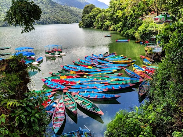 Phewa Lake 5